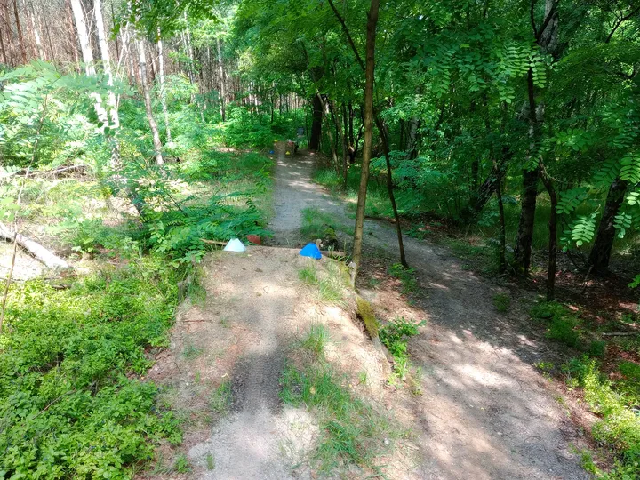 Narrow dirt trail beneath the trees at Jagodowe Wzgórze singletrack