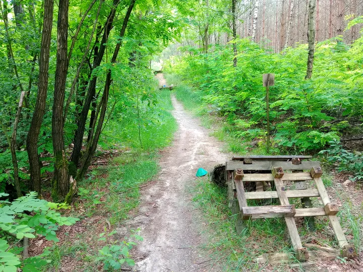 Built feature beside a trail junction at Jagodowe Wzgórze singletrack