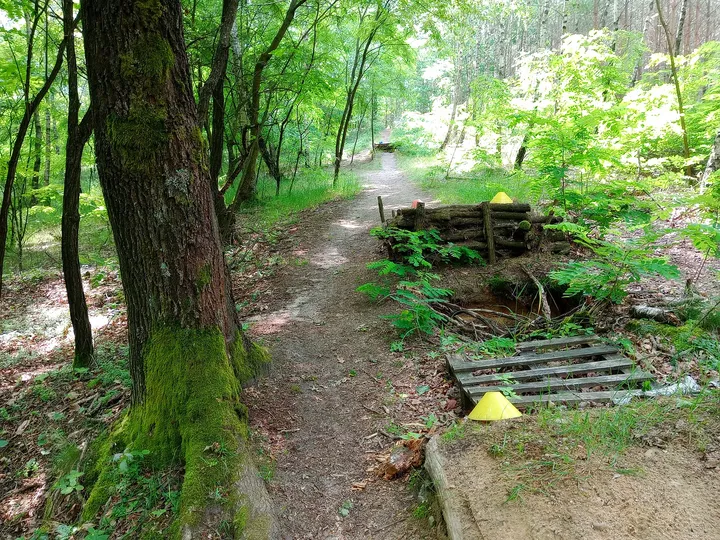 Timber obstacle beside the track at Jagodowe Wzgórze singletrack