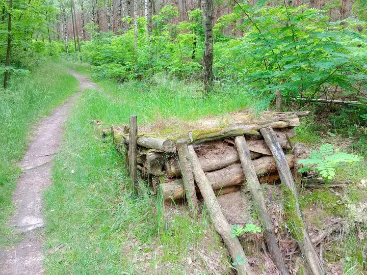 Timber riding feature next to the path at Jagodowe Wzgórze singletrack