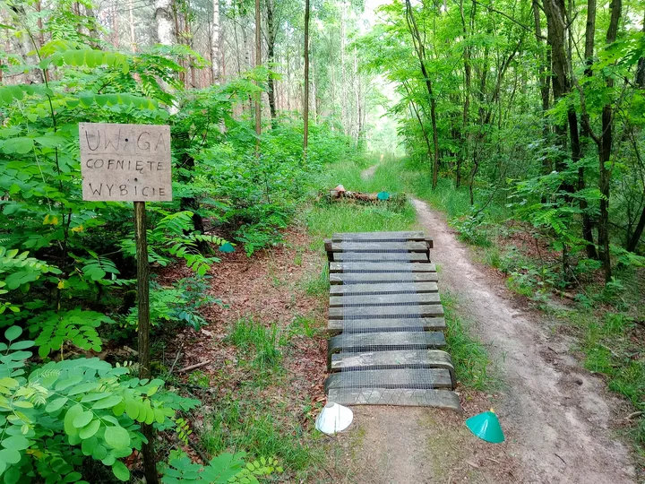 Wooden feature with route notice at Jagodowe Wzgórze singletrack