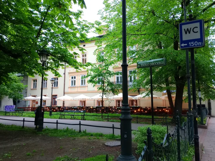 A bench and railings beneath spring trees at Jerzy Jarocki Square