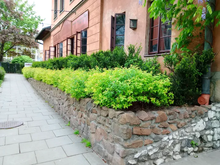 Paved garden path beside the flowerbeds at Klezmer-Hois