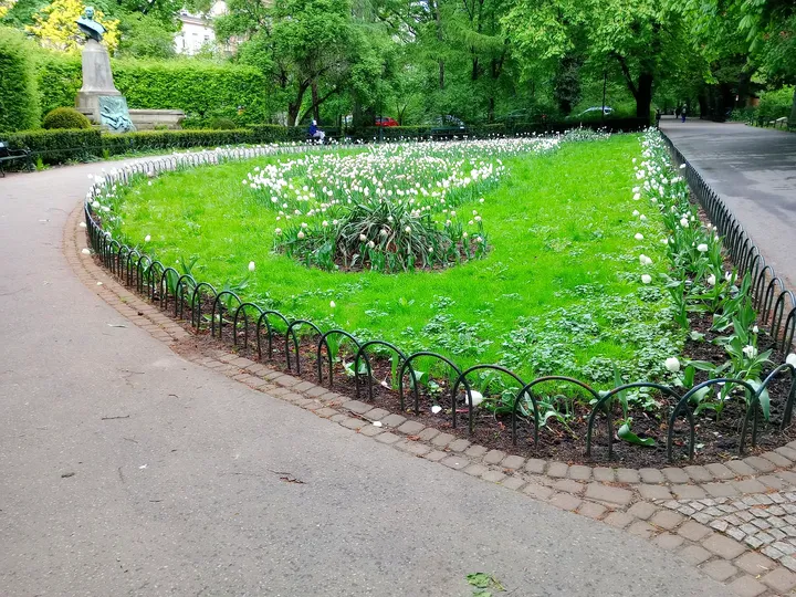 Curving flower beds beside the path at Konrad Swinarski Square