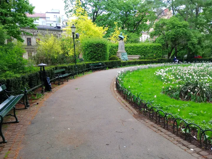 Paths dividing around the planting at Konrad Swinarski Square