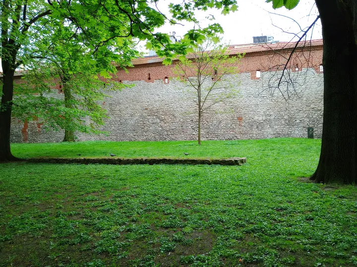The lower wall beside the spring lawn at Kraków Barbican