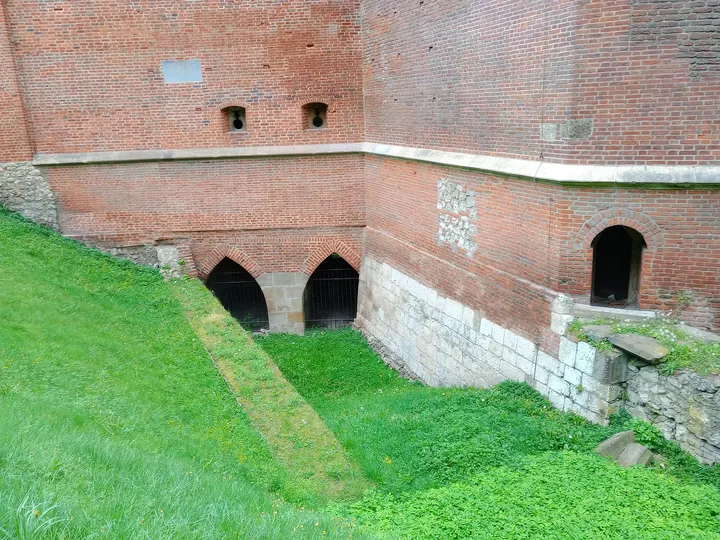 The grass at the foot of the wall at Kraków Barbican