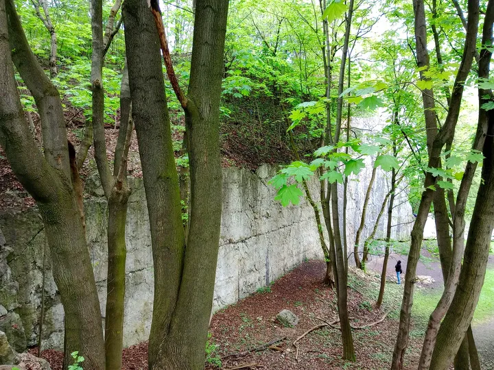 Boundary wall among the trees at Kraków ghetto wall