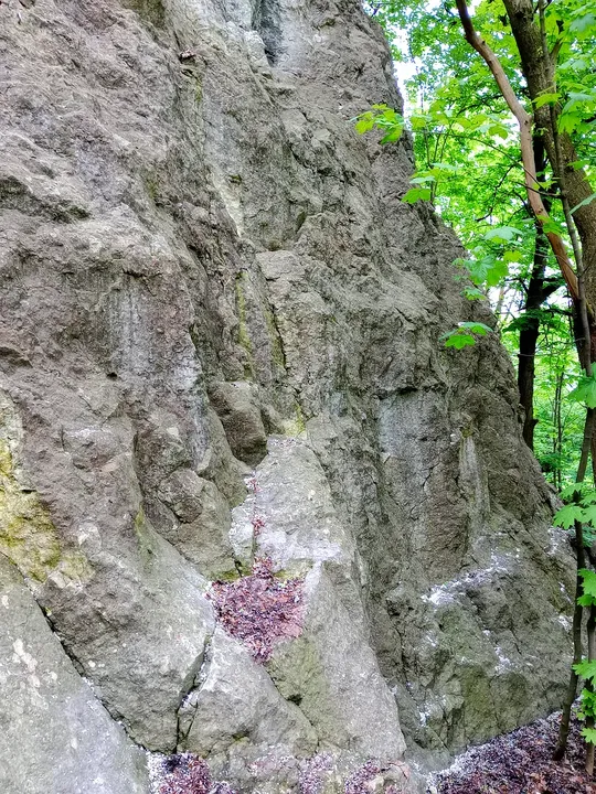 Older masonry beside the wooded slope at Kraków ghetto wall