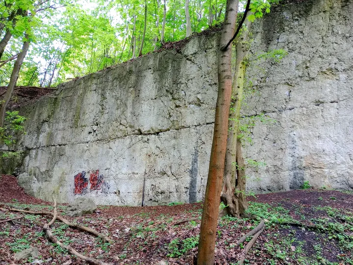 Masonry beneath the woodland canopy at Kraków ghetto wall