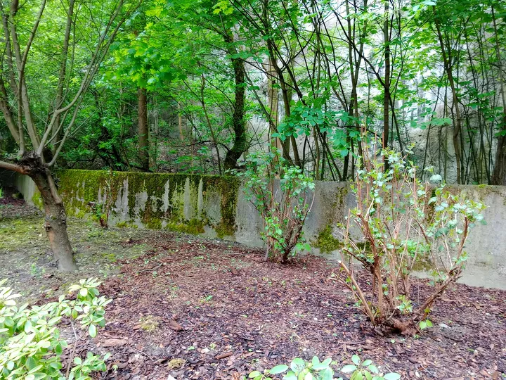 Trees around the older masonry at Kraków ghetto wall