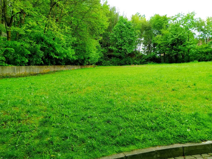 Green space beside the surviving wall at Kraków ghetto wall