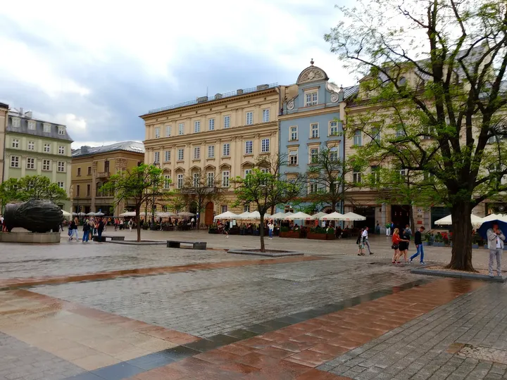 Trees beside the square’s outer edge at Kraków Main Market Square