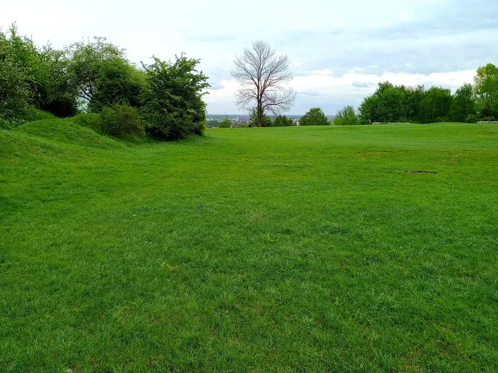The open lawn below the mound at Krakus Mound