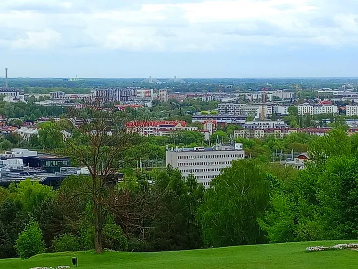 The city between bands of spring trees at Krakus Mound