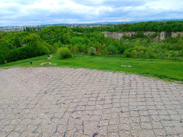 The skyline across the wooded slopes at Krakus Mound
