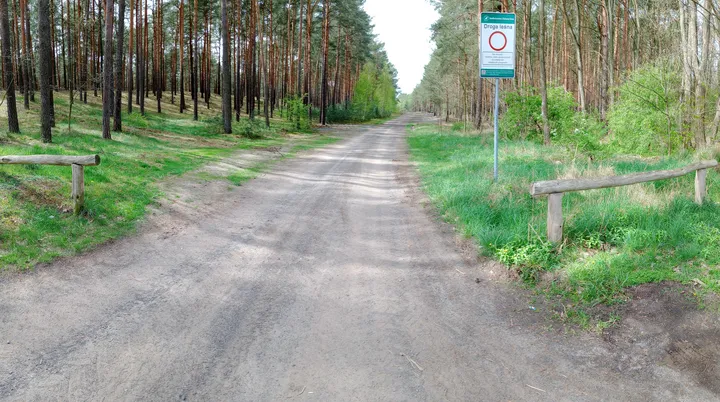 Paved route beside the forest at Krępa–Czerwieńsk cycling route