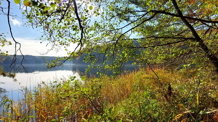 A broad view across the water at Lake Łagowskie