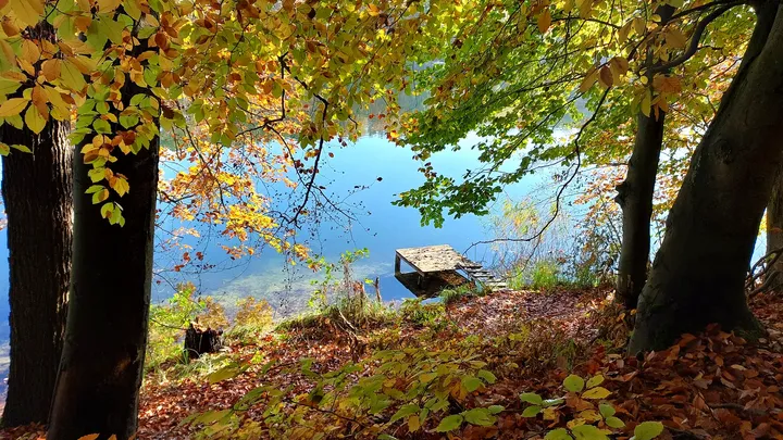 A wooden landing at the shore at Lake Łagowskie