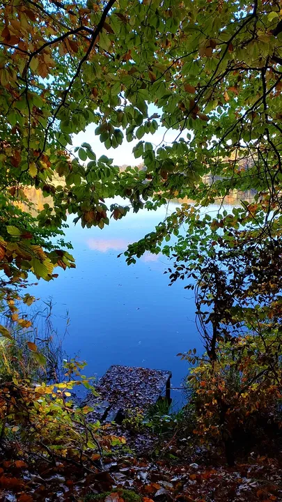 The water beyond a shaded shore at Lake Łagowskie
