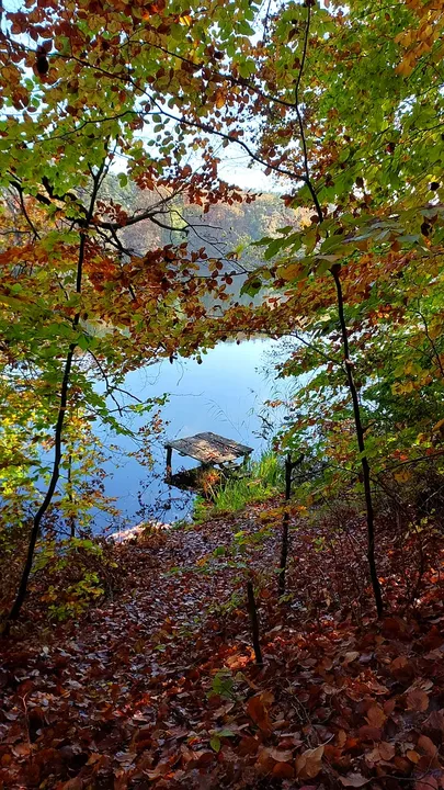 The lake through yellow foliage at Lake Łagowskie