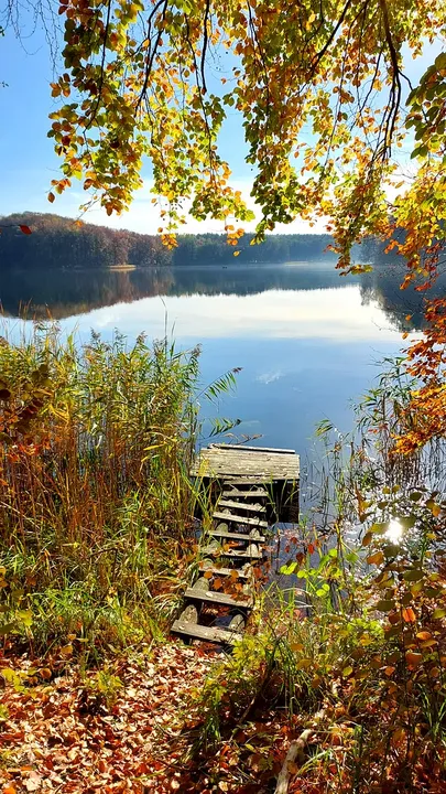 The landing beneath the autumn trees at Lake Łagowskie