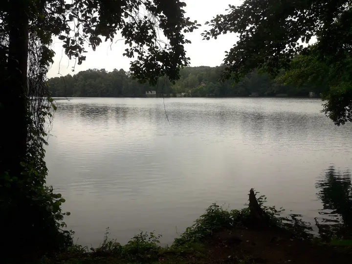 The lake beneath overhanging branches at Lake Łagowskie