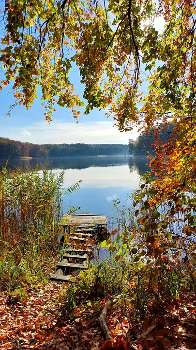 Steps towards a small lakeside landing at Lake Łagowskie