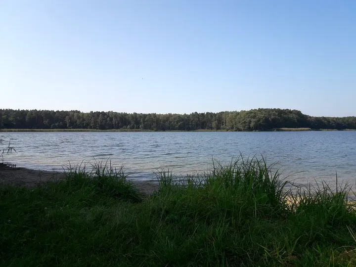 Water beyond the grassy shore at Lake Sławskie