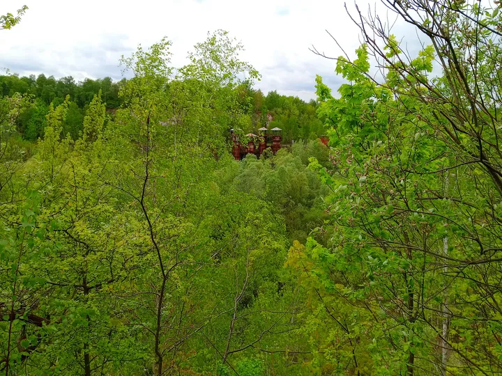 Overgrown wooded corner at Liban Quarry