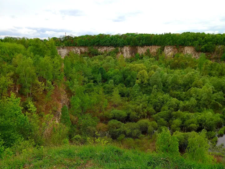 Green quarry floor below the exposed cliffs at Liban Quarry