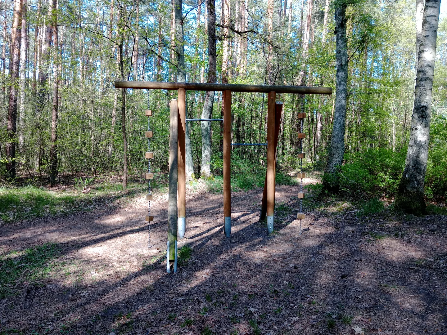 Workout stations beneath the trees at Liliowy Las outdoor exercise ground