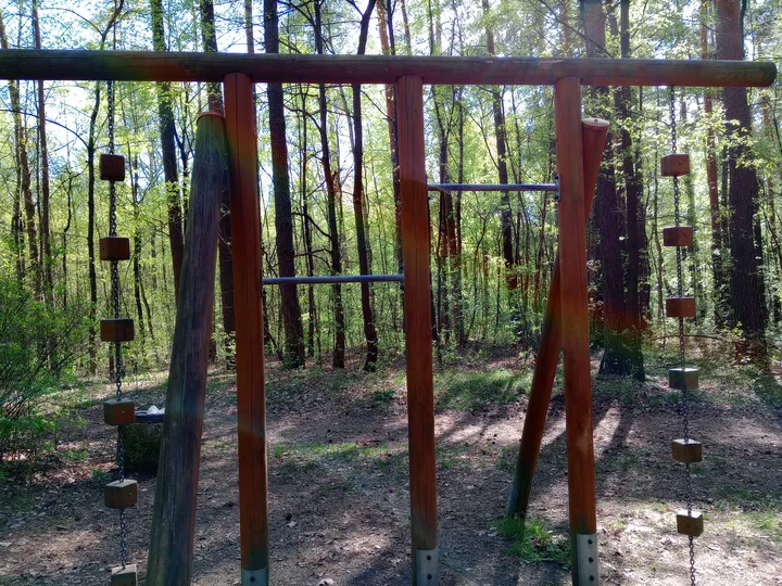 Timber exercise frame among the pines at Liliowy Las outdoor exercise ground