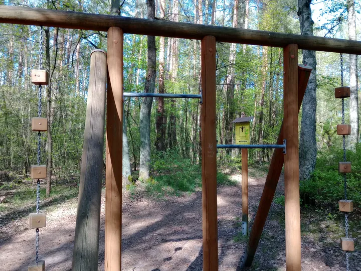 Overhead bars beside the forest path at Liliowy Las outdoor exercise ground