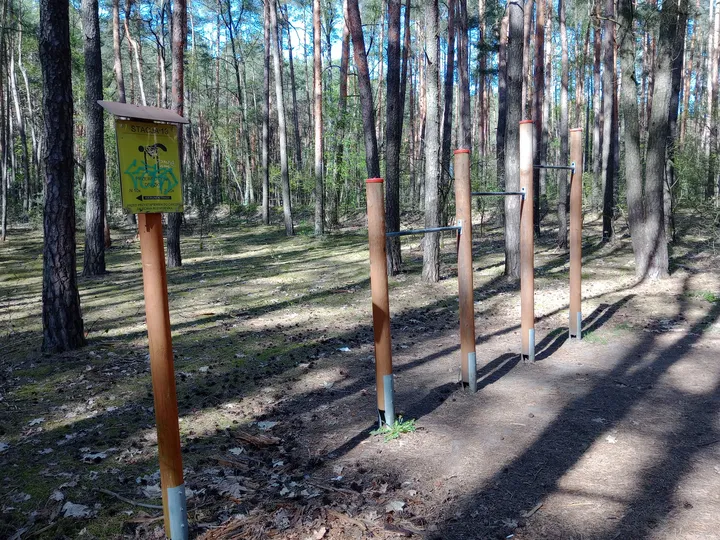 Tall pines around the equipment area at Liliowy Las outdoor exercise ground