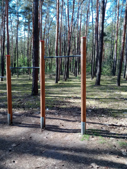 Frame beside the shaded trail at Liliowy Las outdoor exercise ground