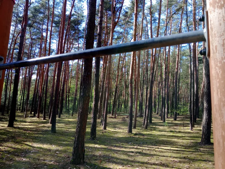 Exercise bars across the woodland clearing at Liliowy Las outdoor exercise ground