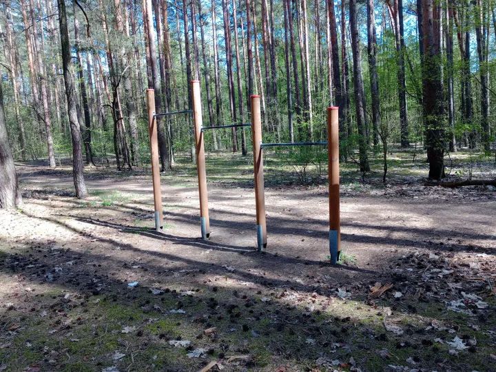 Long view through the trees at Liliowy Las outdoor exercise ground