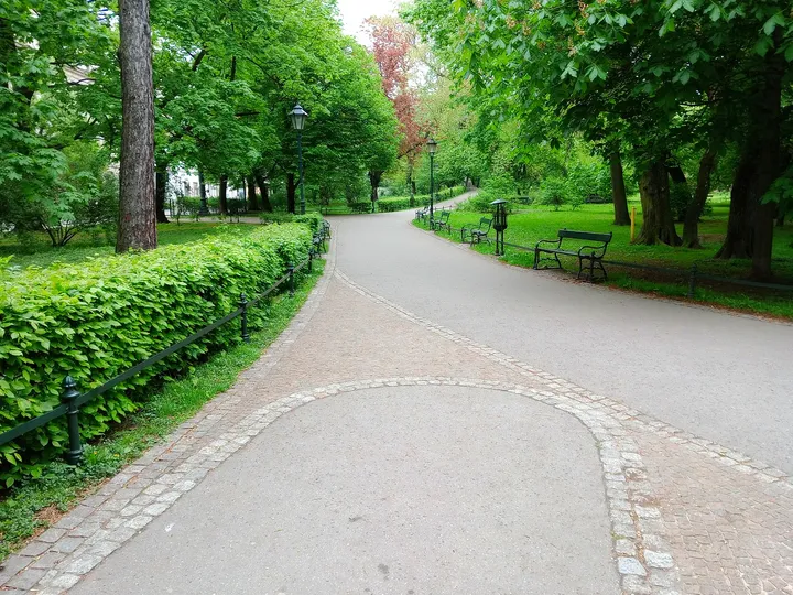 The broad path beneath the trees at Lilla Weneda monument