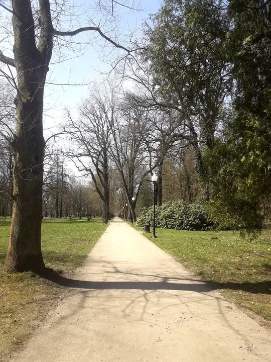 The broad avenue through the grounds at Manor Park, Iłowa