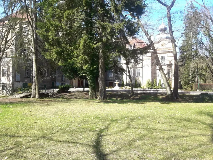 The palace among tall park trees at Manor Park, Iłowa