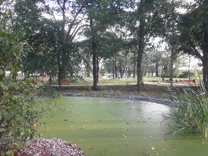 Water beneath the park trees at Manor Park, Kiełpin