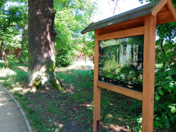 Park information board at Manor Park, Kiełpin