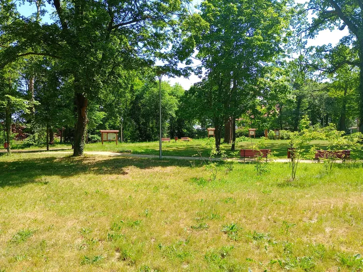 Paths between the trees and benches at Manor Park, Kiełpin