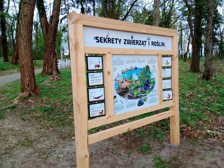 Educational board beside the park path at Manor Park, Świdnica