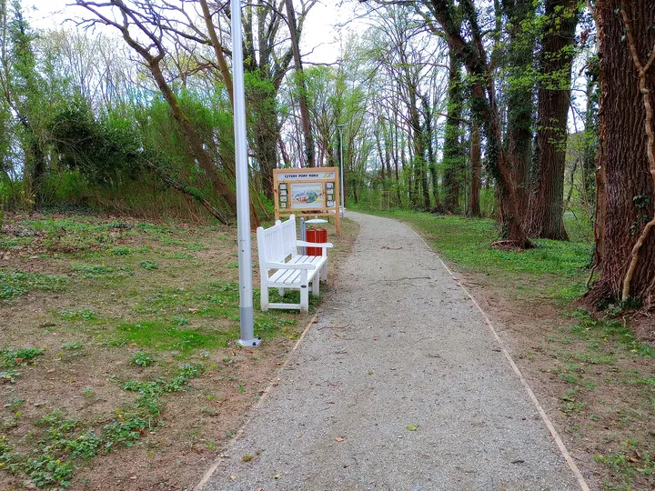 Long view along the woodland path at Manor Park, Świdnica