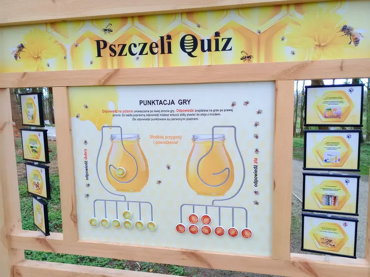Quiz board among the trees at Manor Park, Świdnica