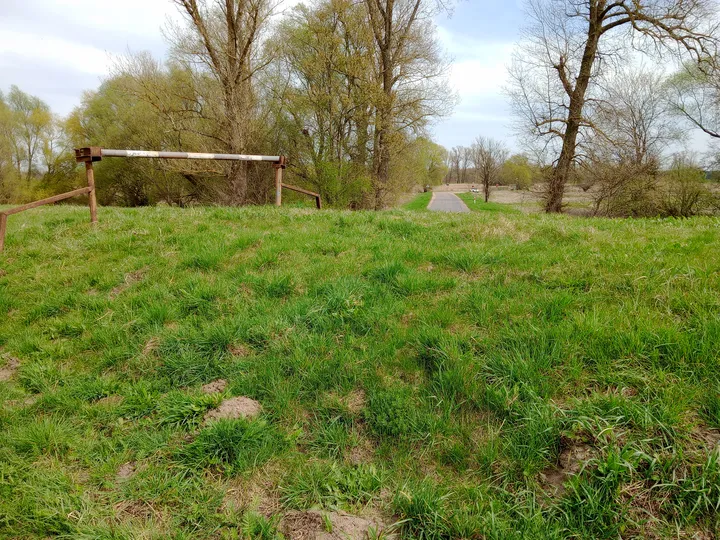 Fortification beneath the spring trees at Międzyrzecz Fortified Region