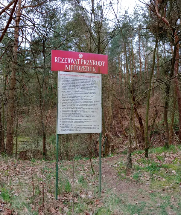 Site information notice at Międzyrzecz Fortified Region