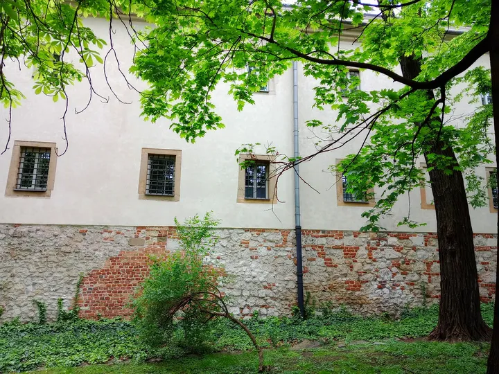 Trees beside the older building wall at Mikołajska Street